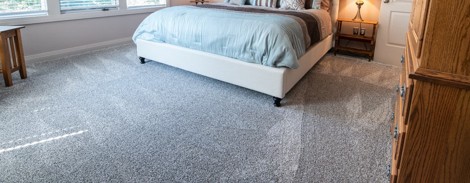 Carpet Cleaning